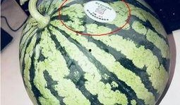 本周最新吃瓜网红,本周网红吃瓜盛宴盘点！”