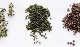 青花椒的爆料方法视频,揭秘神奇调味品的制作秘诀