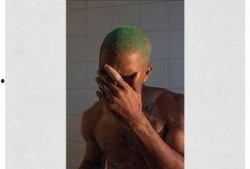 frank在线观看,揭秘音乐传奇的幕后故事