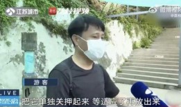 网红吃瓜解禁,揭秘娱乐圈幕后真相
