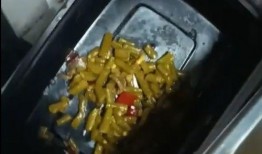 爆料美食视频在线观看,在线观看，尽享味蕾盛宴