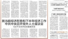 羊城晚报小羊爆料新闻视频,揭秘新闻背后的故事